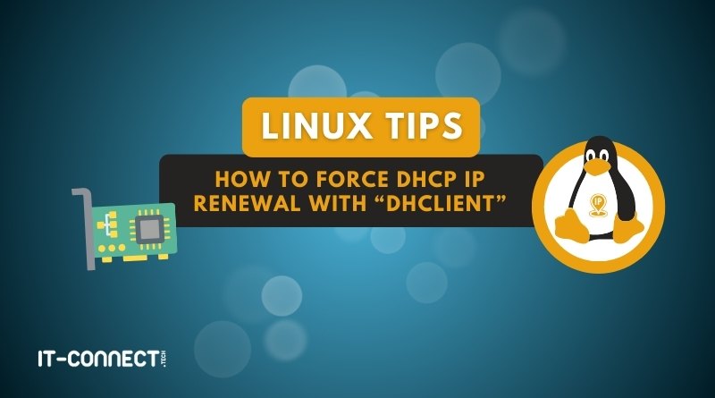 Linux - How to force DHCP IP renewal with dhclient