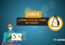 Cómo utilizo sudo en Linux - Nuestra guía completa con ejemplos